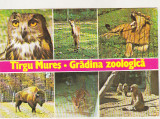 Bnk cp Targu Mures - Gradina zoologica - circulata, Printata