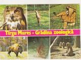 bnk cp Targu Mures - Gradina zoologica - circulata