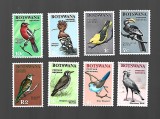 botswana pasari incomplecta mnh