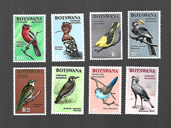 botswana pasari incomplecta mnh
