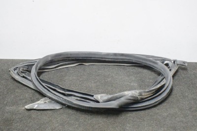 Garnitura ușă st&amp;acirc;nga spate TESLA MODEL 3 2018 OEM: 1090511-50-E | 11204543 foto