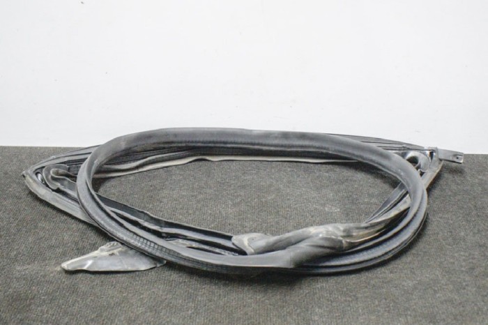 Garnitura ușă st&acirc;nga spate TESLA MODEL 3 2018 OEM: 1090511-50-E | 11204543