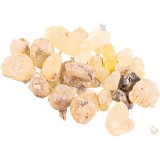 Jungle Way Oman Standard tamaie 20 g