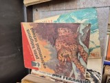 Prin taigaua Extremului Orient 1 vintage