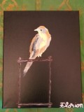 TABLOU PE PANZA CU SASIU NOU 24X30 CM PASARE ACRILIC PRET 50 LEI NEGOCIABIL