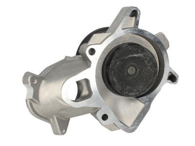 Pompa apa BMW X5 (E70) (2007 - 2013) THERMOTEC D1B031TT foto