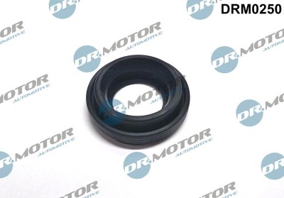 Etansare, Suport Injector 307705 DRM0250 foto