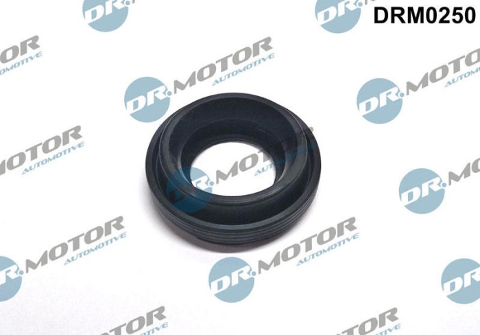 Etansare, Suport Injector 307705 DRM0250