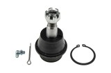 Rotula brat suspensie Dodge Ram 1500 2002-2008, Cabina Standard, Fata, Inferior, NTY ZSD-CH-013