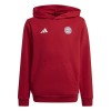 Bayern M&uuml;nchen hanorac cu glugă pentru copii Hoody red - 164