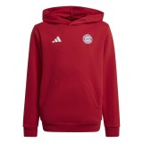 Bayern M&uuml;nchen hanorac cu glugă pentru copii Hoody red - 164