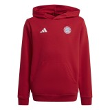 Bayern M&uuml;nchen hanorac cu glugă pentru copii Hoody red - 164, Adidas