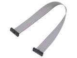 Cablu panglică SAMTEC IDC 203,2mm FFSD-10-D-08.00-01-N cu conectori IDC ambele părți
