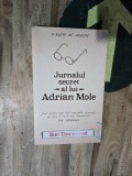 Jurnalul secret al lui Adrian Mole - Sue Townsend