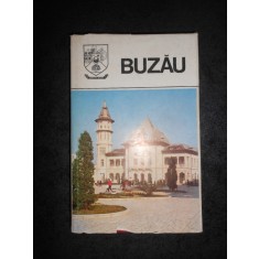 BUZAU. JUDETELE PATRIEI (1980, editie cartonata)