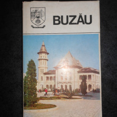 BUZAU. JUDETELE PATRIEI (1980, editie cartonata)