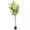 vidaXL Ficus artificial 48 de frunze 165 cm verde 4103581