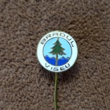 Insigna fotbal - &quot;BRADUL&quot; VISEU