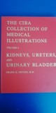 Myh 33f - Album CIBA collection - Urinary system - NETTER - lb engleza - 1979