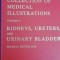 myh 33f - Album CIBA collection - Urinary system - NETTER - lb engleza - 1979