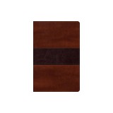 Rvr 1960 Biblia del Pescador Letra Grande, Caoba S