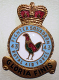 I.576 INSIGNA AVIATIE MILITARA UK MAREA BRITANIE ROYAL AIR FORCE SQUADRON 43