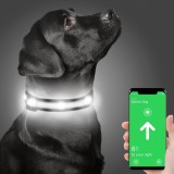 Zgarda pentru caine Dynmeow, LED, nailon, negru/alb, marimea XS