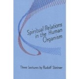 Spiritual relations in the human organism