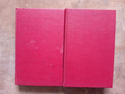 PETRE ISPIRESCU - BUCATI ALESE, 2 volume foto