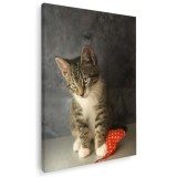 Tablou pisica gri cu alb si inima rosie Tablou canvas pe panza CU RAMA 50x70 cm
