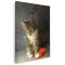 Tablou pisica gri cu alb si inima rosie Tablou canvas pe panza CU RAMA 50x70 cm