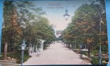 Carte postala, Campulung, Gradina Publica, perioada interbelica