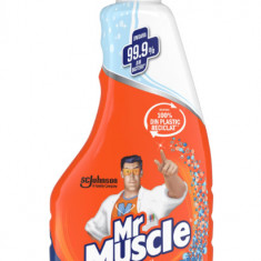Mr Muscle Solutie de curatare pentru baie si WC 500 ml