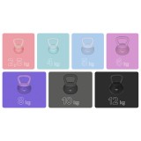 KETTLEBELL VINIL 2.5 KG REBEL ACTIVE