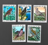 mali pasari mnh