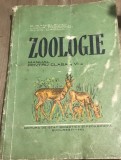 MNL Manuale - Zologie - clasa a 6 a 1962