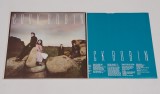 Cock Robin - disc vinil vinyl LP NOU