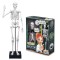 Schelet Gigant 45 cm - Anatomie pentru copii