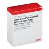 Supliment, Heel, ATP, Injeel Forte, pentru Energie Musculara si alte Celule, 10 fiole x 1.1ml