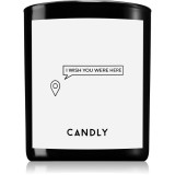 Candly &amp; Co. I wish you were here lum&acirc;nare parfumată 250 g