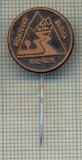 Y 250 INSIGNA -RADATOVICI -SUSICA - CROATIA - IUGOSLAVIA -PENTRU COLECTIONARI
