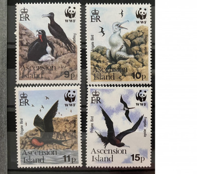 PC150 - ASCENSION 1990 FAUNA WWF/PASARI, serie MNH, 4v foto