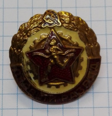 Insigna URSS 1950-1960 Sportiv militar cls.1 foto