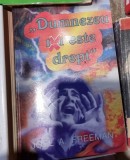 Dumnezeu nu este drept - Joel A. Freeman