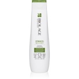Biolage Strength Recovery șampon pentru par deteriorat 250 ml