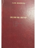 Jeana Morarescu - Orizonturi critice (Editia: 2004)