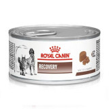 Royal Canin Veterinary Diet Recovery Feline/Canine Can 195 g