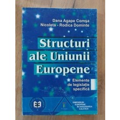 Structuri ale Uniunii Europene-Diana Agape Comsa,Nicoleta Rodica Dominte