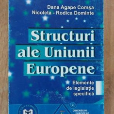 Structuri ale Uniunii Europene-Diana Agape Comsa,Nicoleta Rodica Dominte