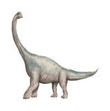 Cumpara ieftin Sticker decorativ Dinozaur, Gri, 55 cm, 3936ST, Oem